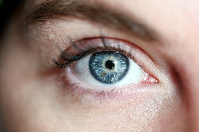 眼瞼：美容手術